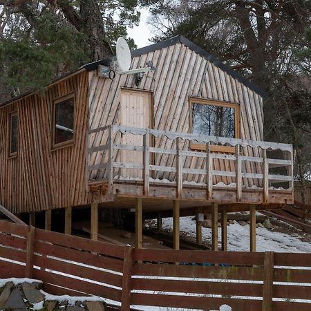Pine Marten Bar Glenmore Treehouse Aviemore Exterior foto