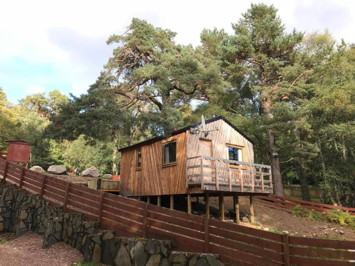 Pine Marten Bar Glenmore Treehouse Aviemore Exterior foto