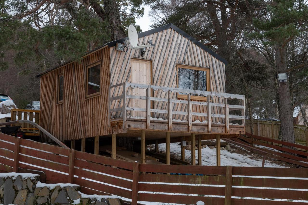 Pine Marten Bar Glenmore Treehouse Aviemore Exterior foto
