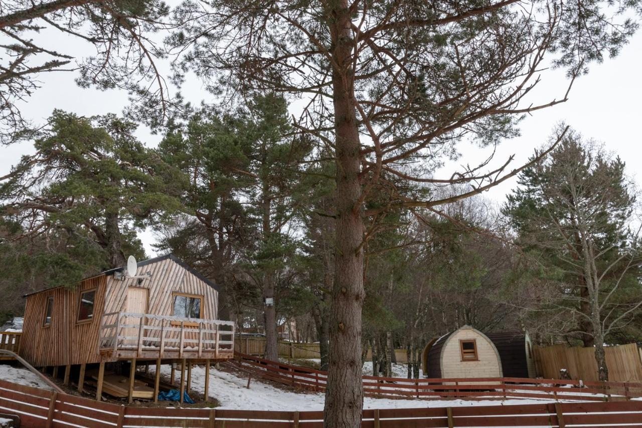 Pine Marten Bar Glenmore Treehouse Aviemore Exterior foto