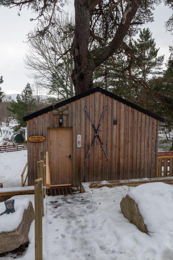 Pine Marten Bar Glenmore Treehouse Aviemore Exterior foto